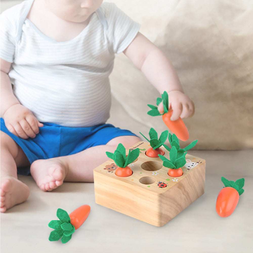 Carrot Harvest Educational Toy